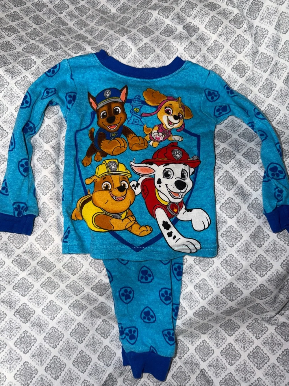Paw Patrol Blue Kids Pajama Set - Animated Rescue Pups - Picture 1 of 4